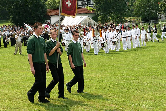 SFSO2007-113