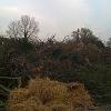 Ostern2009_28