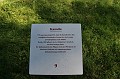 IMG_4356