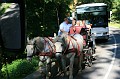 IMG_4391