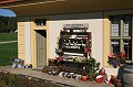 IMG_4421