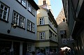 IMG_4575