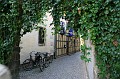 IMG_4602