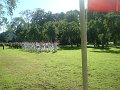 DSC07821