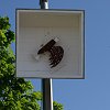 Kommers_2012_016