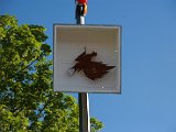 IMG_9892.JPG