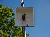 IMG_9906.JPG