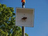 IMG_9908.JPG