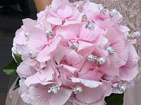 IMG 0853