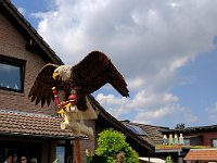 Bild 010