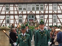 IMG 3993
