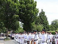 IMG 7481
