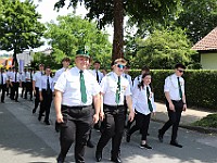 IMG 7491