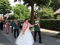 IMG 7495